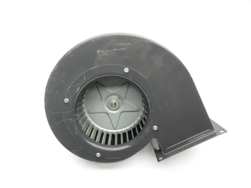 DAYTON 4YJ31 115V UNMP