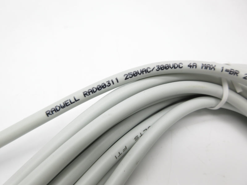RADWELL RAD00311 250VAC 4A NSNP