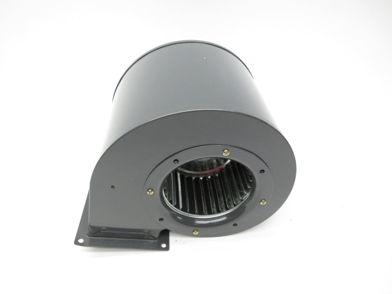 DAYTON 1TDR9 115V NSMP