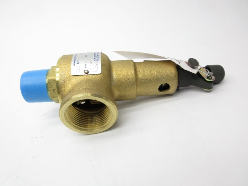 KUNKLE VALVE 6010FEM01-AM175 175PSI 1" NSMP