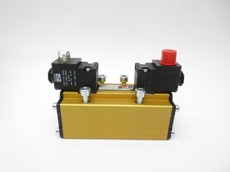 ROSS W6076E4407Z 100-110V 100-120V NSMP