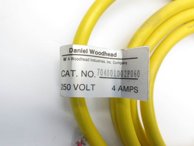 DANIEL WOODHEAD 704001D02F060 250V 4A NSNP