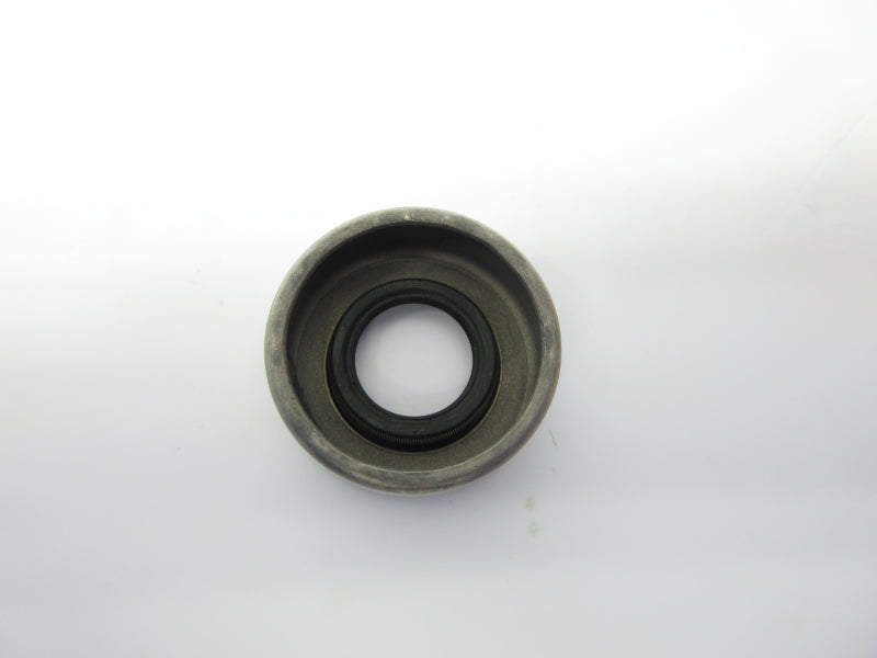 SKF 541625 NSMP