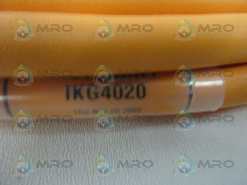 INDRAMAT IKG4020 MOTOR CABLE 10M  NSNP
