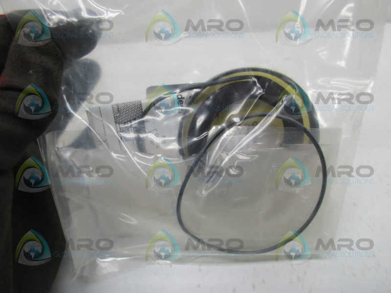 PARKER PK063P1D01P1D 63MM PISTON SEAL KIT  NSMP