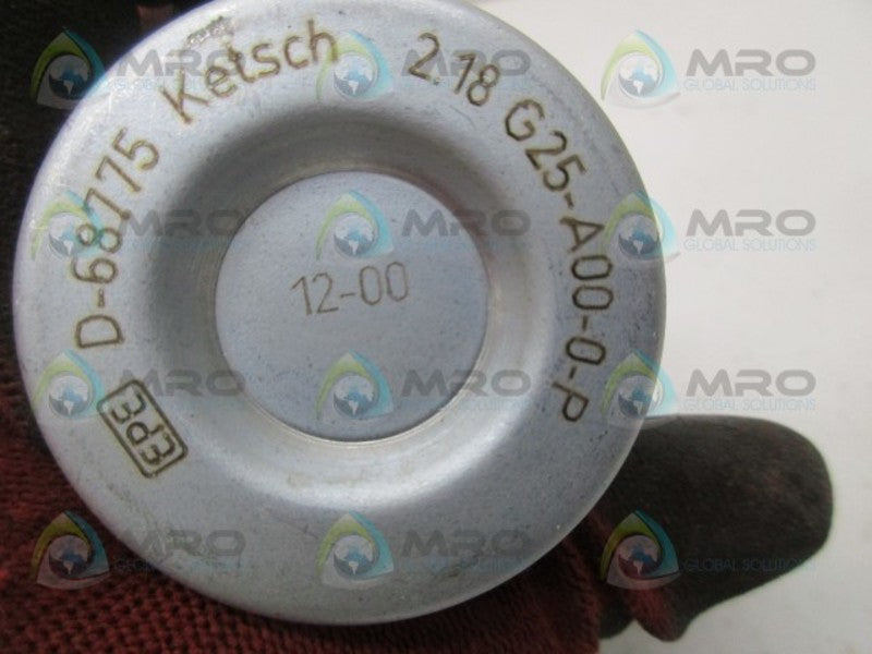 EPE 2.18 G25-A00-0-P FILTER  NSNP