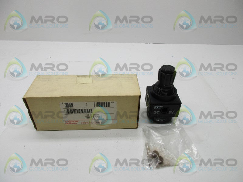SCHRADER BELLOWS 7BR213EA REGULATOR  NSMP