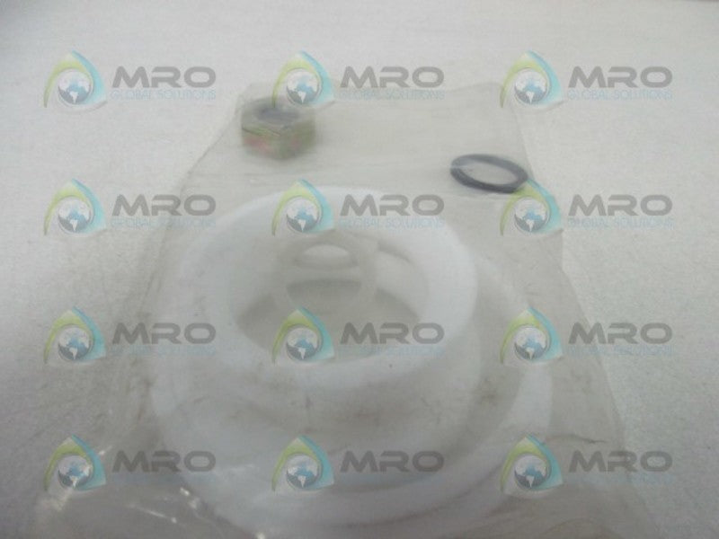 WORCESTER PTFE44ARK REPAIR KIT 2 1/2"  NSMP