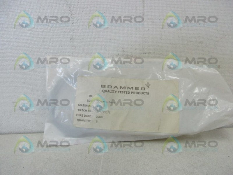 BRAMMER SV7/251/1 REPAIR KIT  NSMP