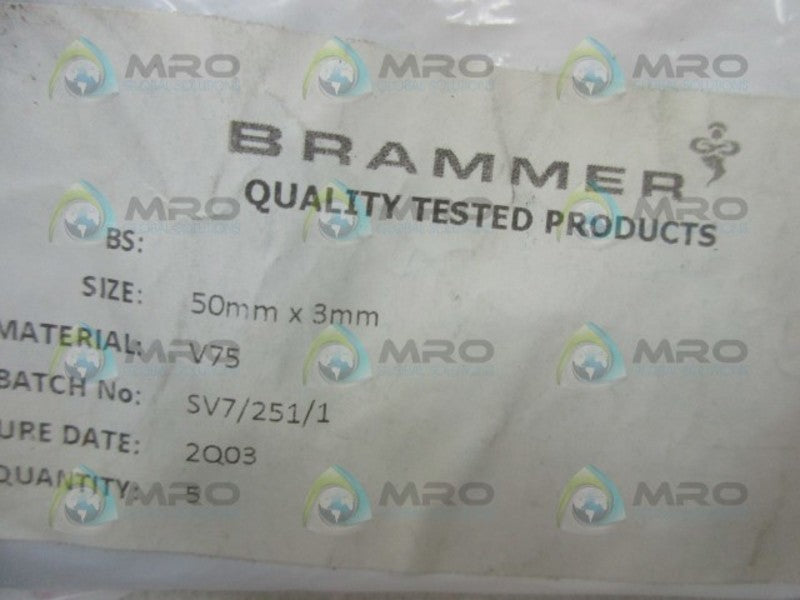 BRAMMER SV7/251/1 REPAIR KIT  NSMP