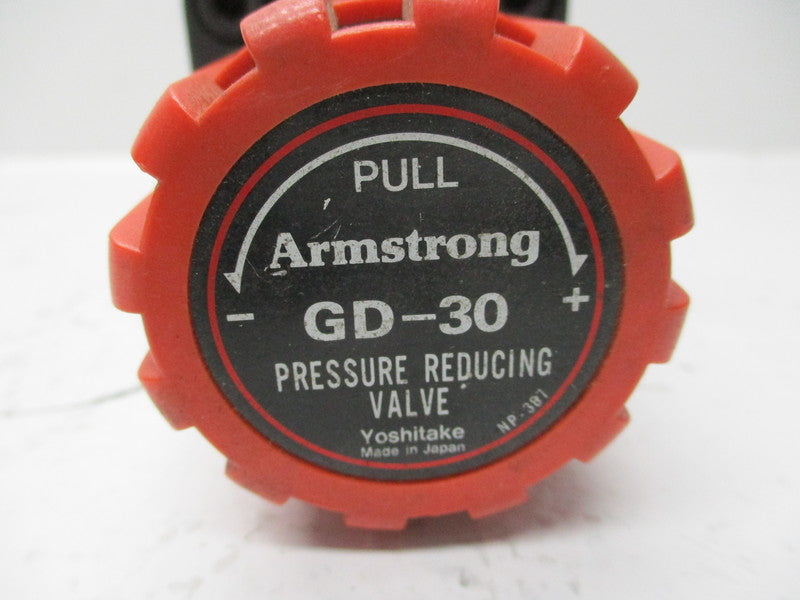 ARMSTRONG GD-30 (53115283) NSNP