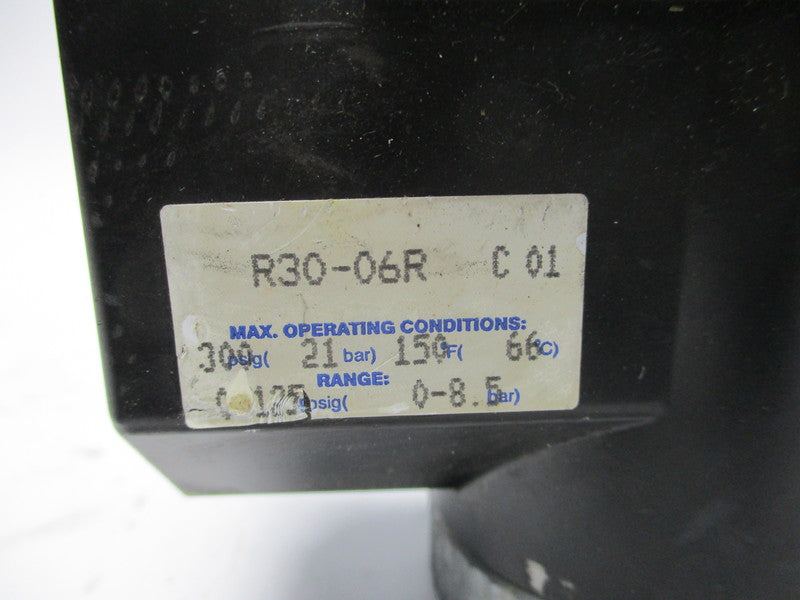 DIXON R30-06R UNMP