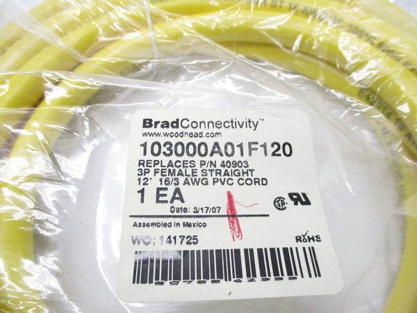 DANIEL WOODHEAD 103000A01F120 NSMP