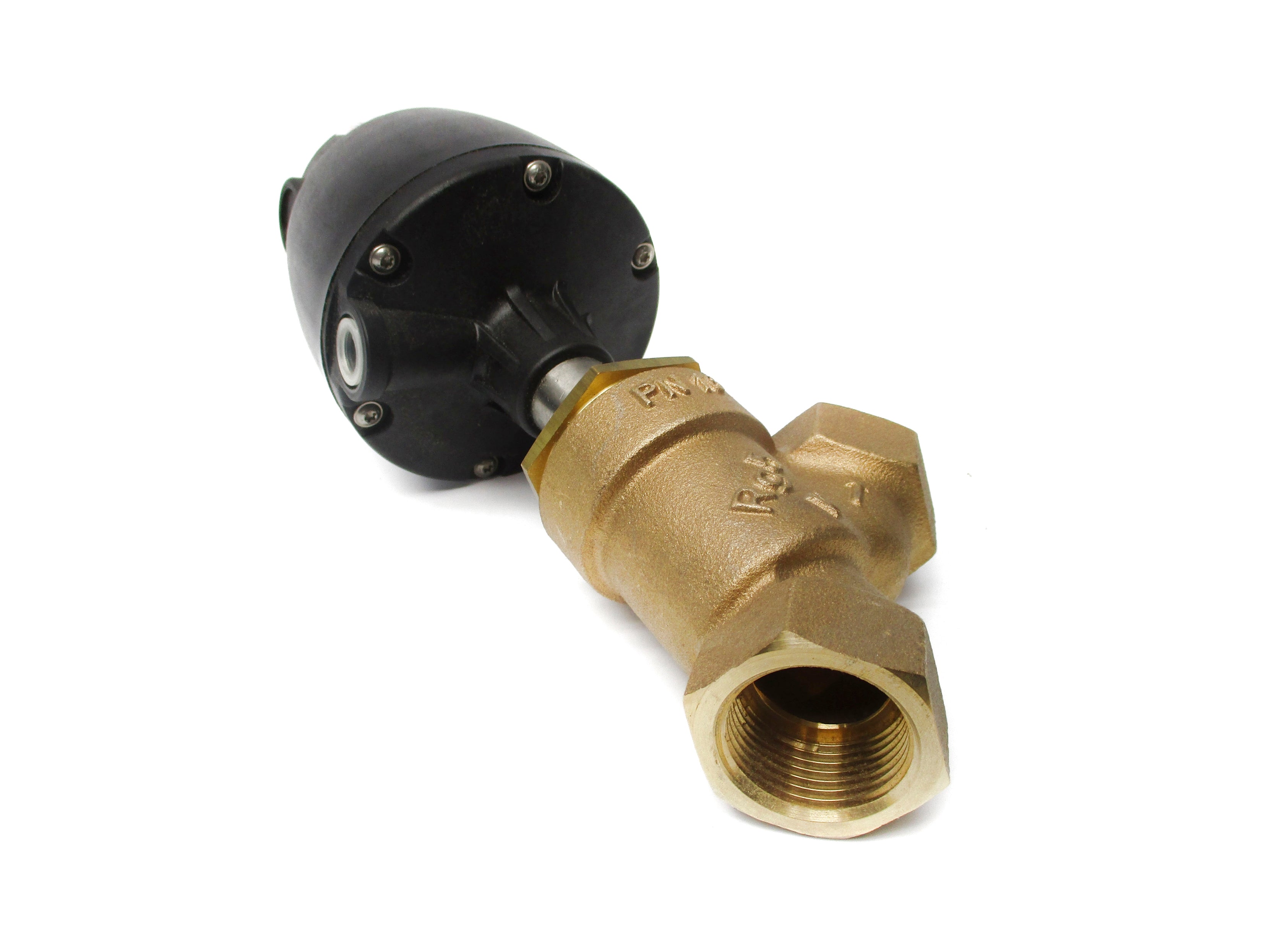 GEMU 55425D19511 NSNP