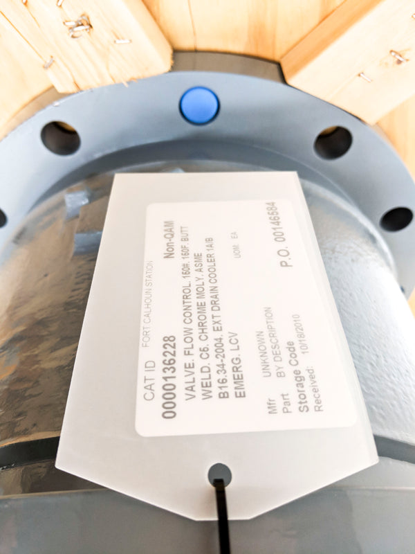 DRESSER MASONEILAN CAMFLEX II 35-35112 10" NSNP