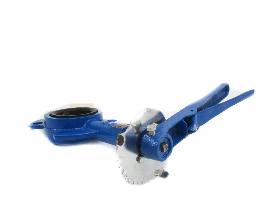 OHIO VALVE 4100DBL 200PSI 2.5IN NSNP