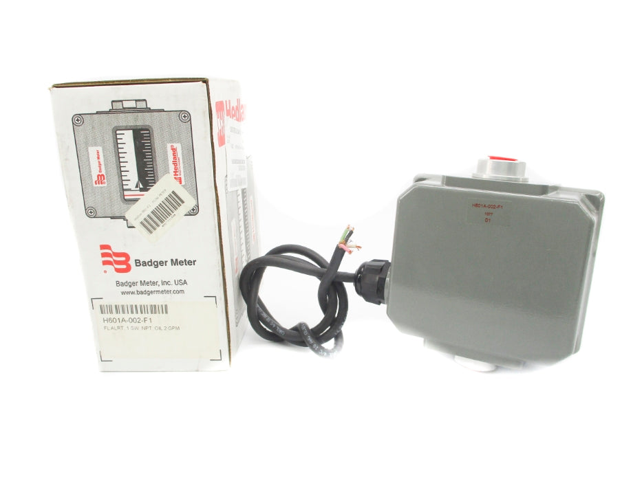 BADGER METER H601A-002-F1 3500PSI NSMP