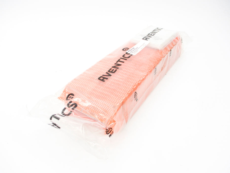 AVENTICS R412019041 NSFS