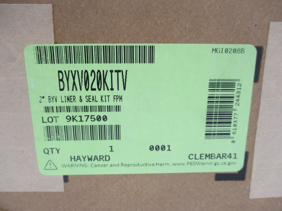 HAYWARD BYXV020KITV NSFS