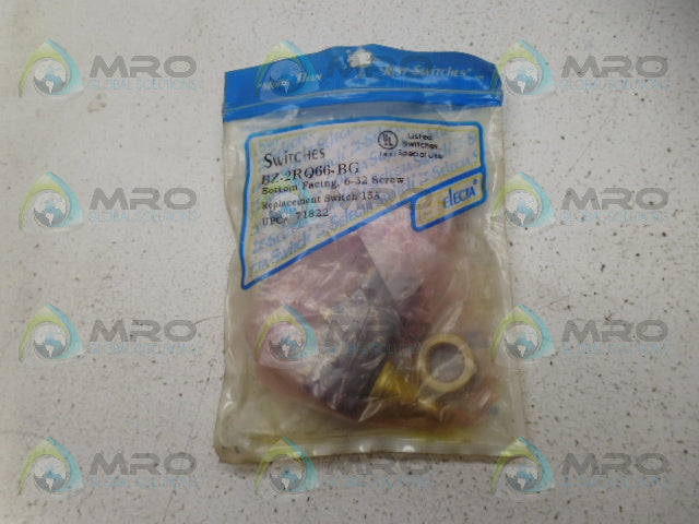 SELECTA BZ-2RQ66-BG REPLACEMENT SWITCH *NEW IN FACTORY BAG*