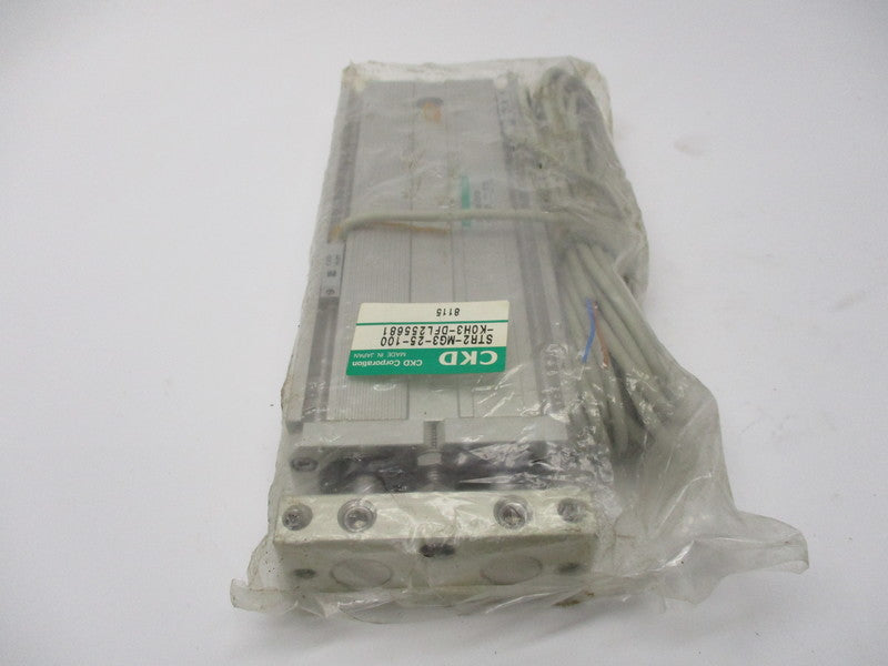 CKD STR2-MG3-25-100 NSMP