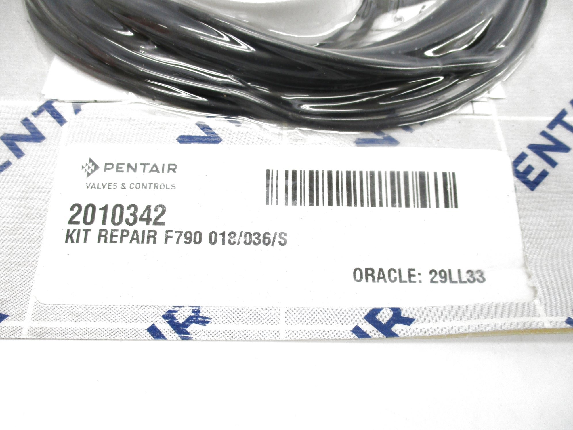 PENTAIR 2010342 NSMP