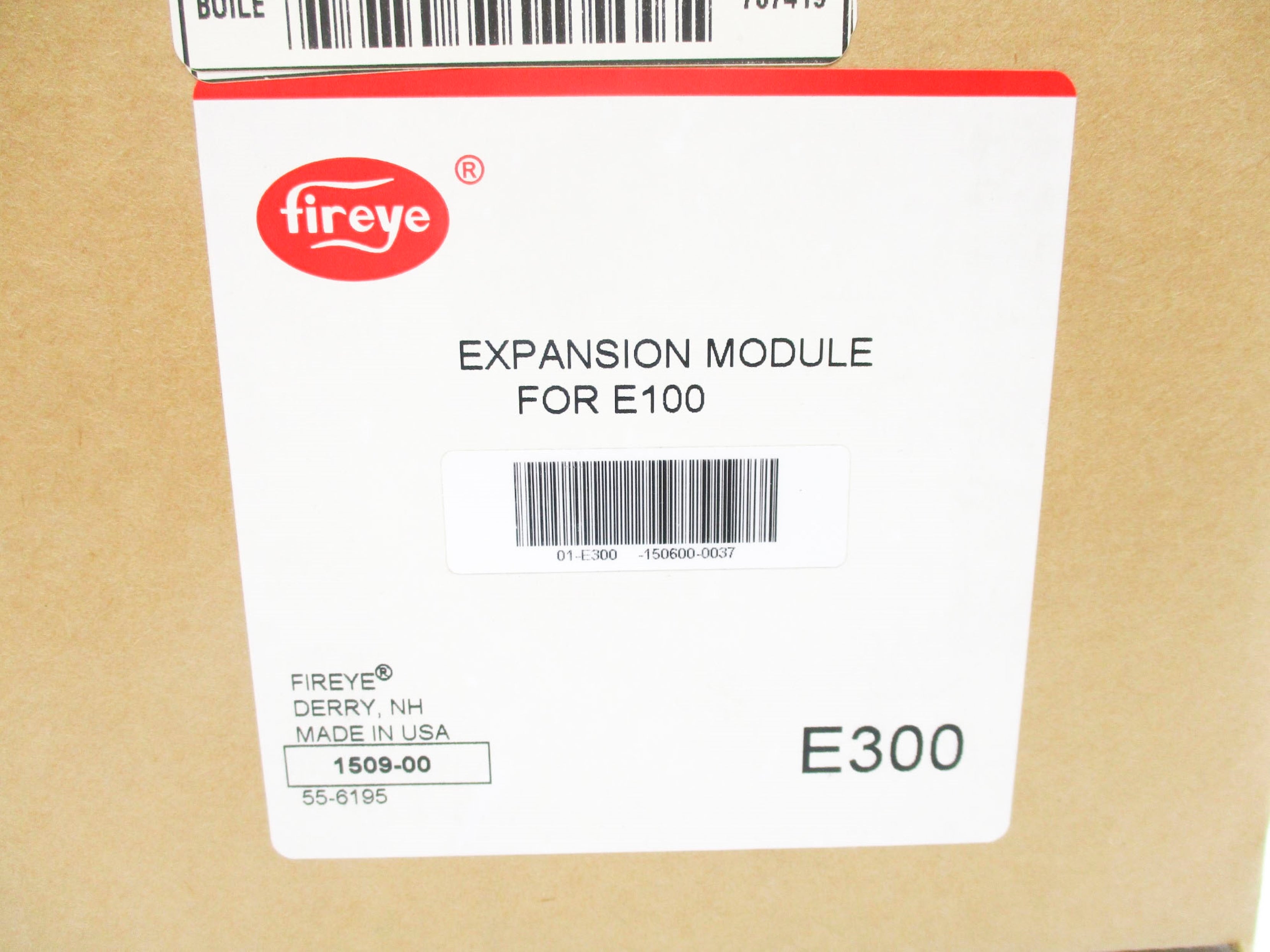 FIREYE E300 NSFS