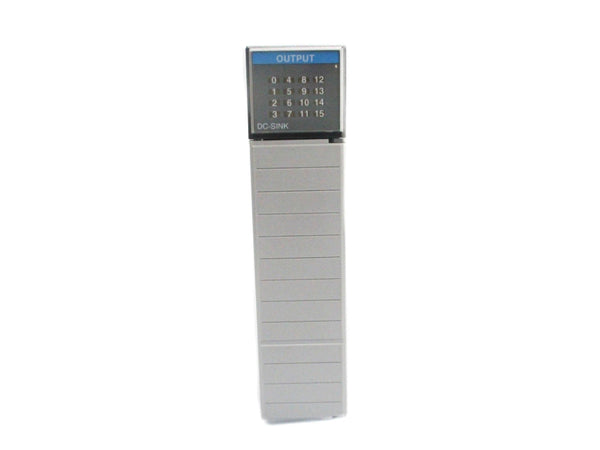 ALLEN BRADLEY 1746-OV16 SER. C 10-50VDC NSNP