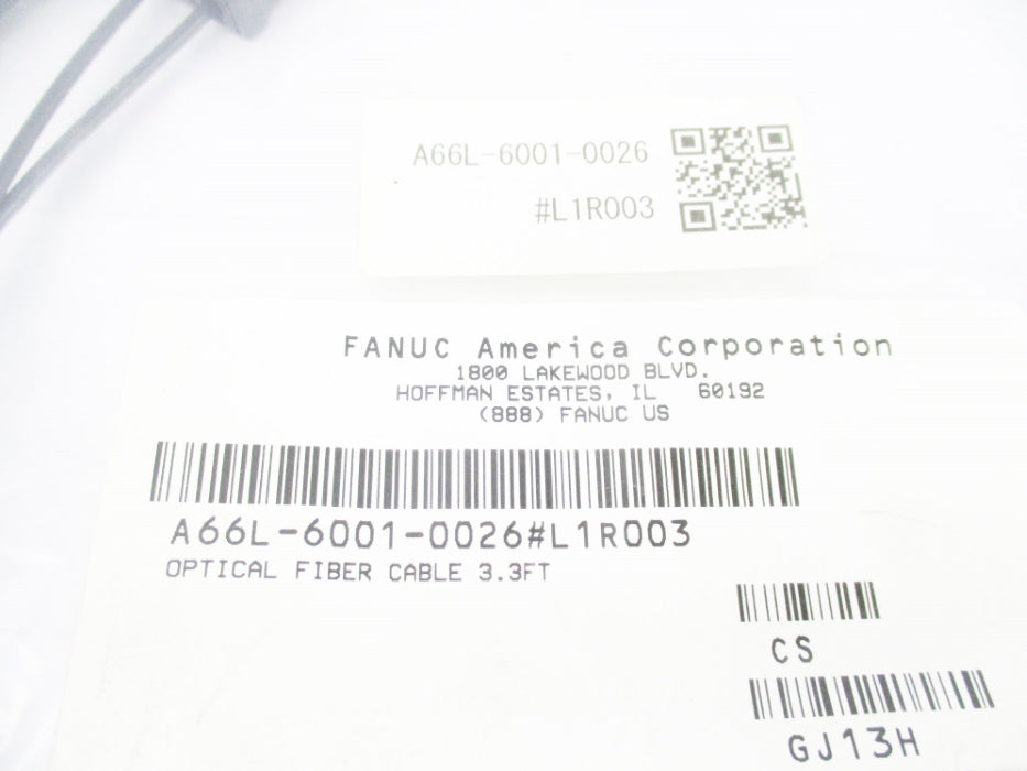FANUC A66L-6001-0026#L1R003 NSMP