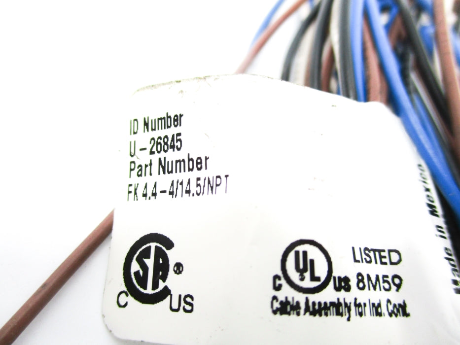 TURCK FK4.4-4/14.5/NPT U-26845 NSNP