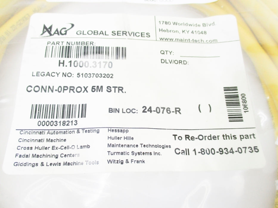 GLOBAL SERVICES H.1000.3170 NSMP