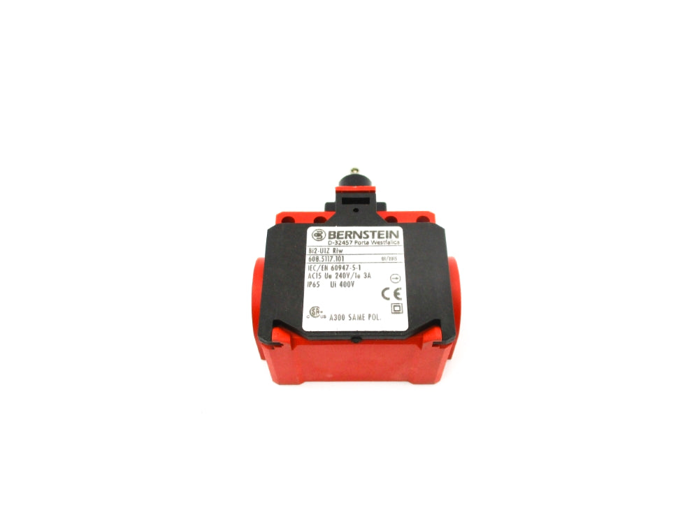 BERNSTEIN BI2-U1ZRIW 608.5117.101 NSNP