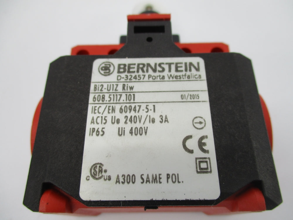 BERNSTEIN BI2-U1ZRIW 608.5117.101 NSNP