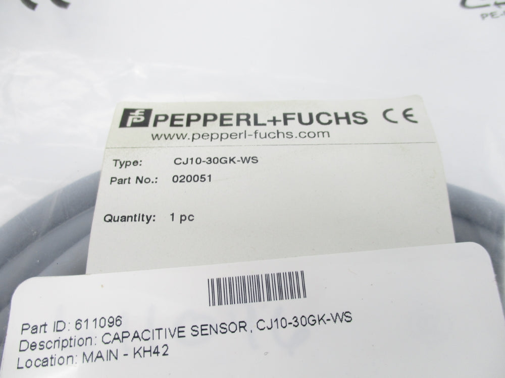 PEPPERL+FUCHS CJ10-30GK-WS 020051 NSMP