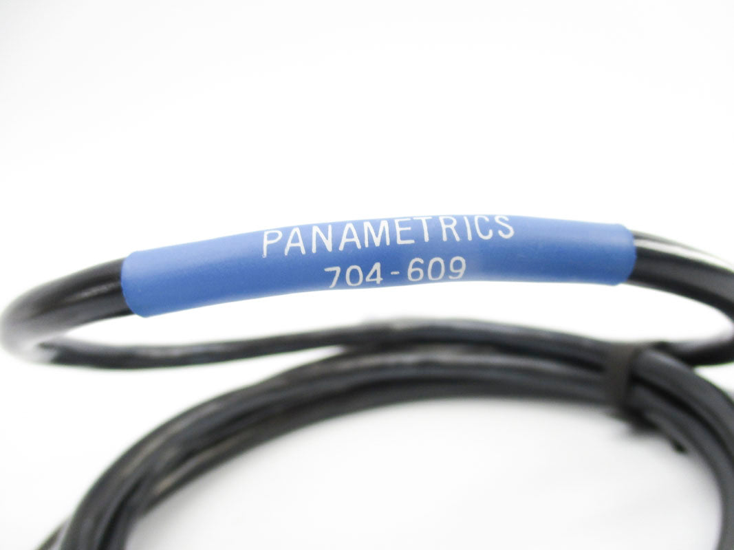 PANAMETRICS 704-609 NSNP