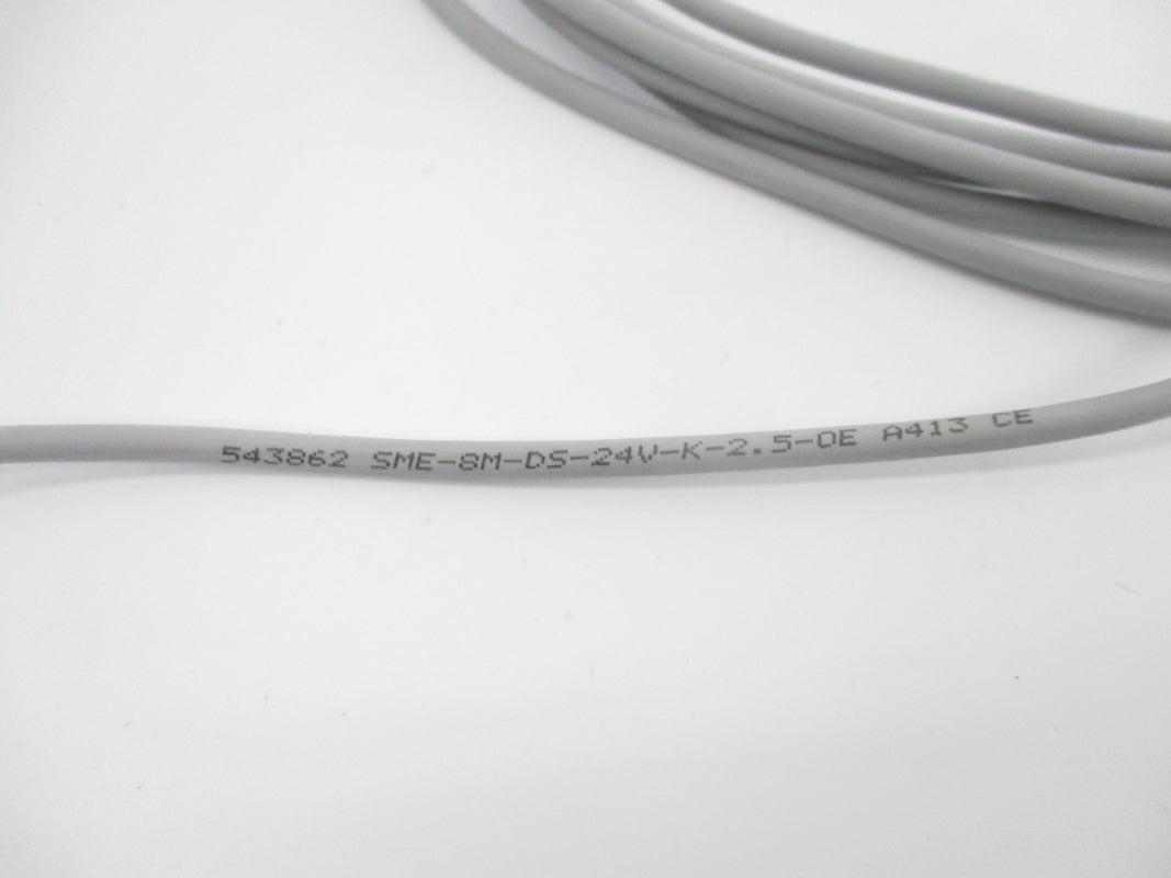 FESTO SME-8M-DS-24V-K-2.5-OE 543862 NSNP