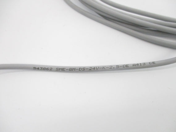 FESTO SME-8M-DS-24V-K-2.5-OE 543862 NSNP