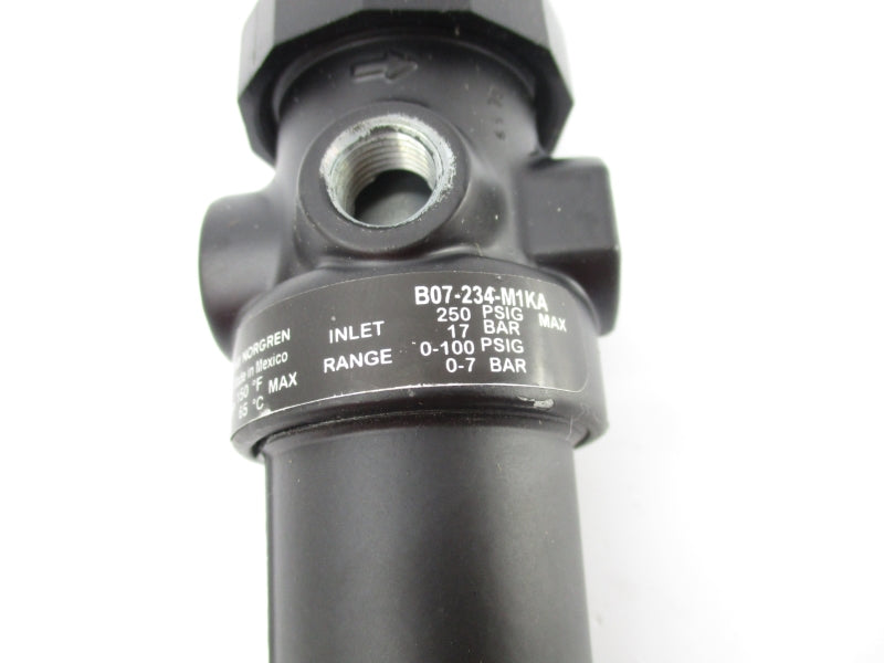 NORGREN B07-234-M1KA 0-100PSI NSNP