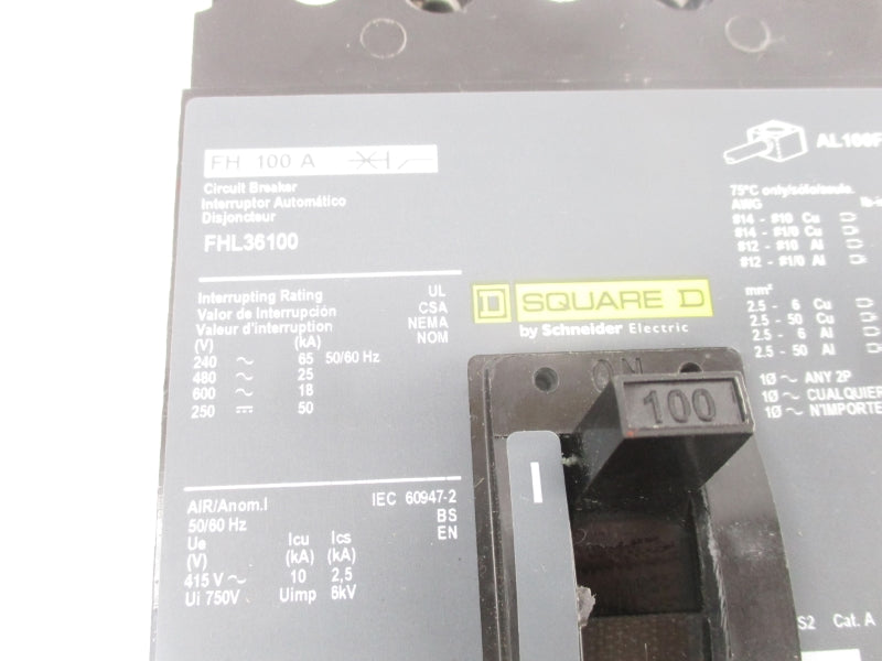 SQUARE D FHL36100 600V 100A NSNP