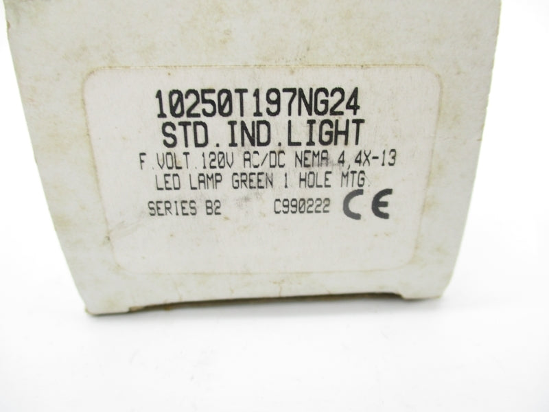 CUTLER HAMMER 10250T197NG24 SER. B2 250V NSMP