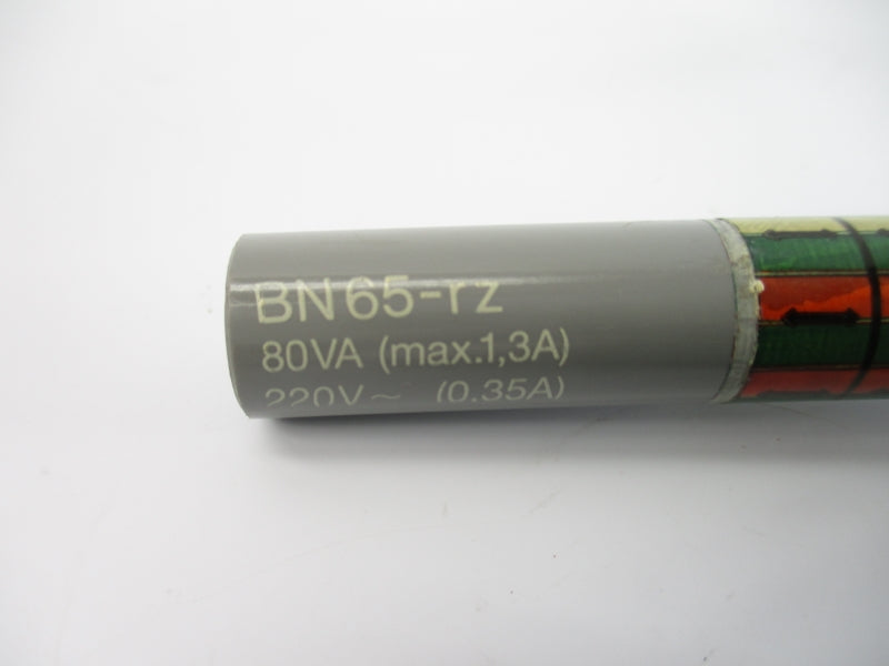 SCHMERSAL BN65-RZ 220V 1.3A UNMP
