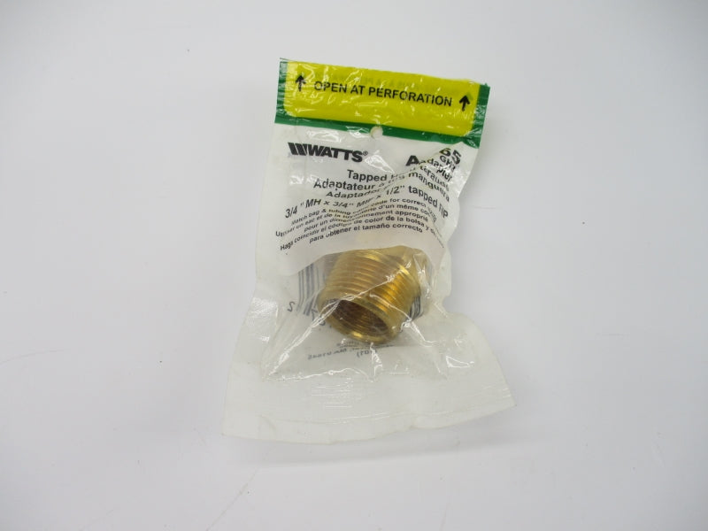 WATTS A-665 3/4" NSMP