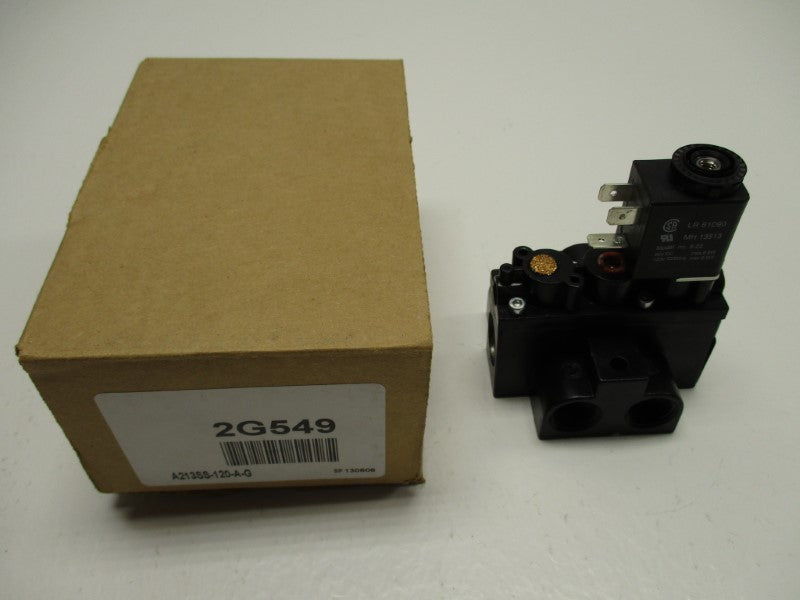 INGERSOLL RAND A213SS-120-A-G NSMP