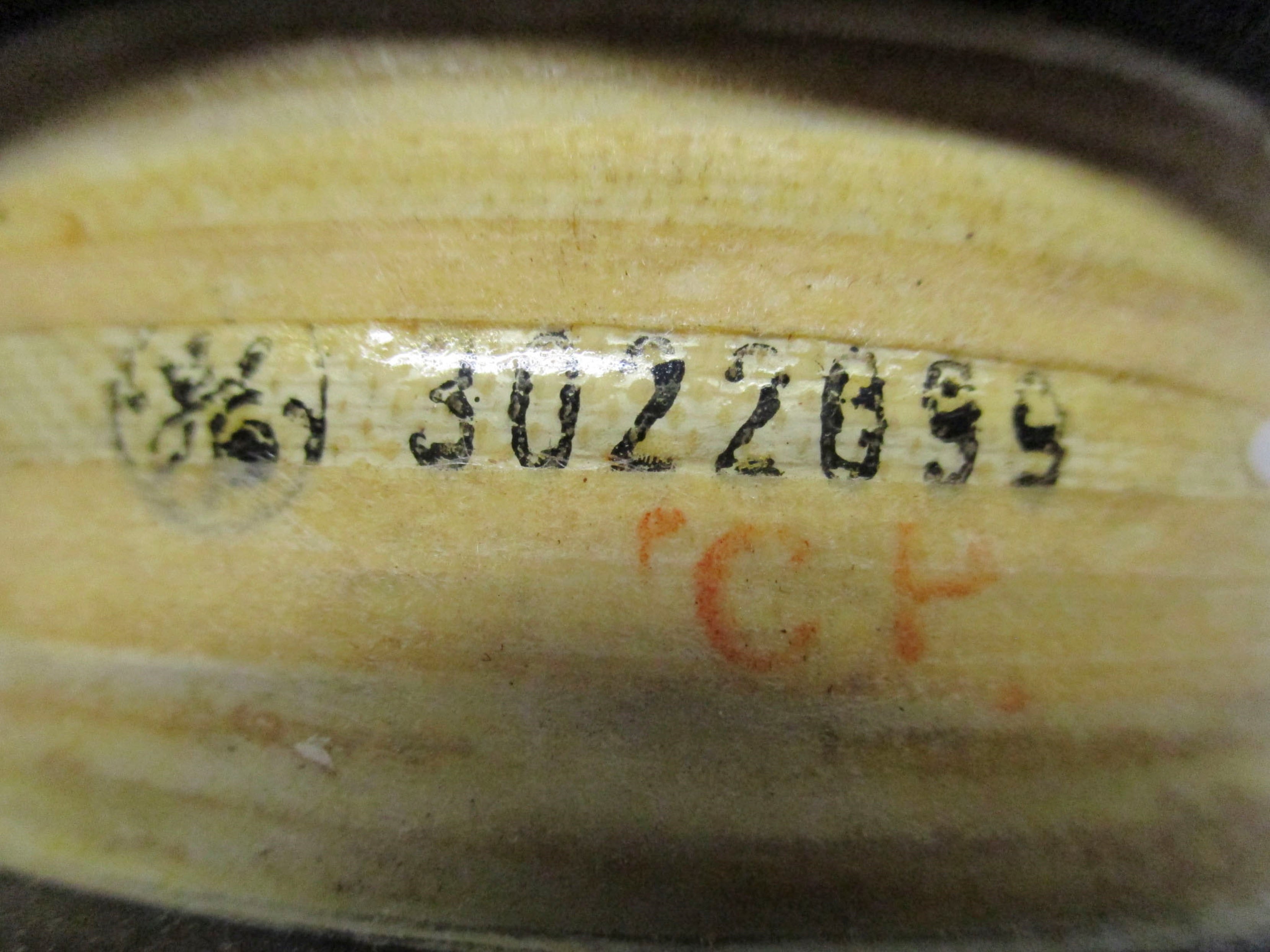 GENERAL ELECTRIC 3022099 NSMP