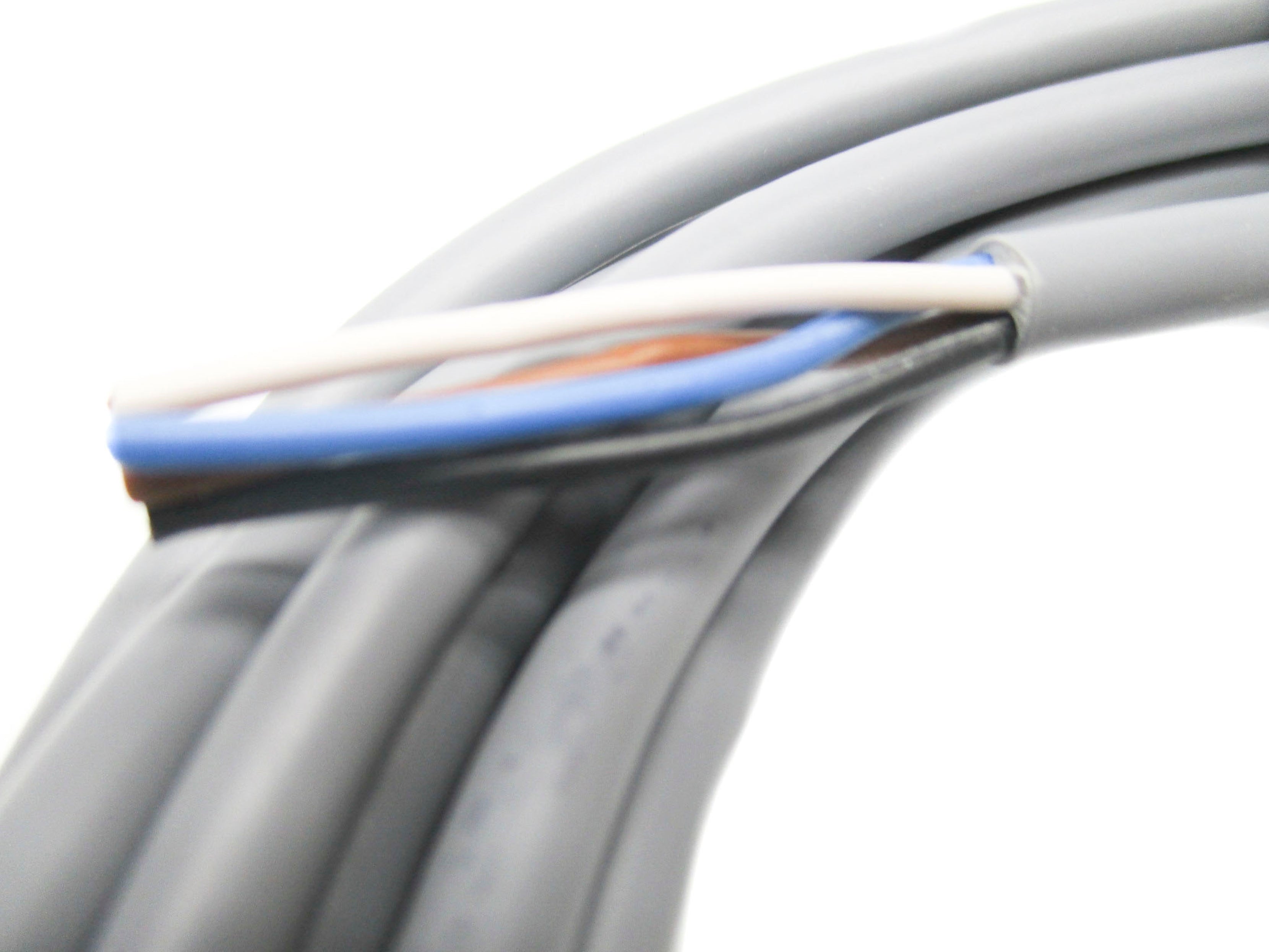 PEPPERL+FUCHS V31-GM-5M-PVC NSMP