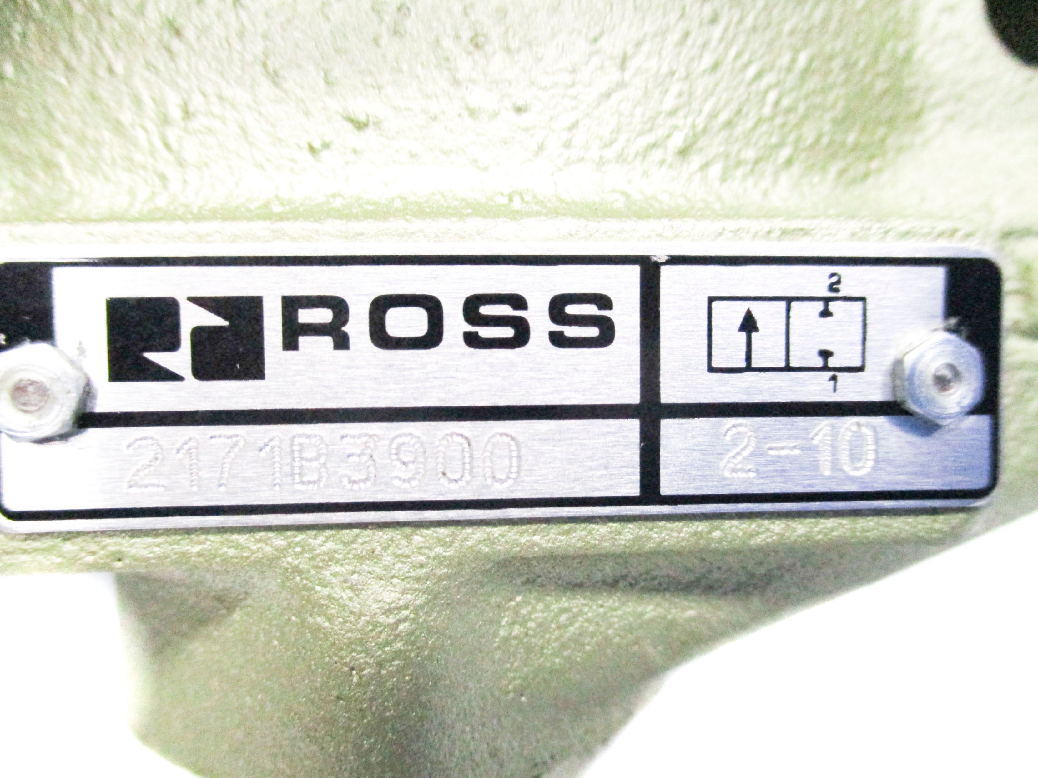 ROSS 2171B3900 110V/50HZ-110-120V/60HZ 2-10BAR NSMP