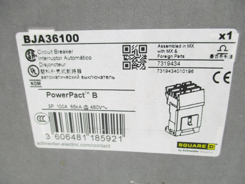 SQUARE D BJA36100 100A 480V NSMP
