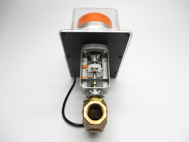 BELIMO G224+NVF24-MFT 24VAC 250PSI 1 3/8" NSMP