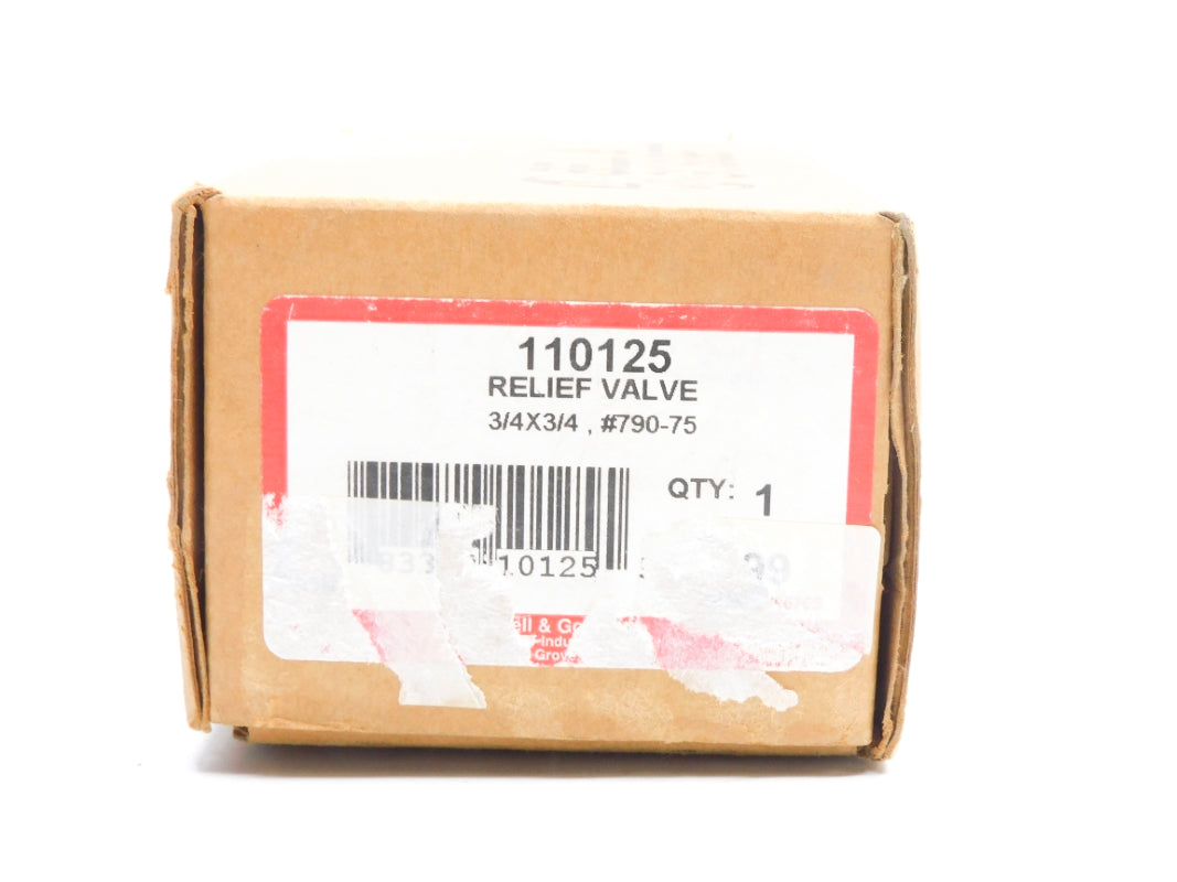 BELL & GOSSETT 790-75 110125 75PSI 3/4" NSMP