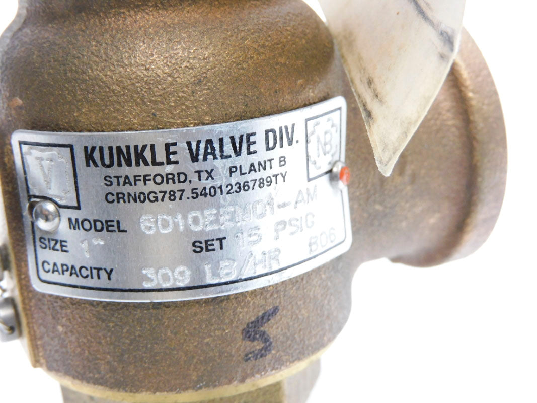KUNKLE 6010EEM01-AM0015 15PSI 1" NSMP
